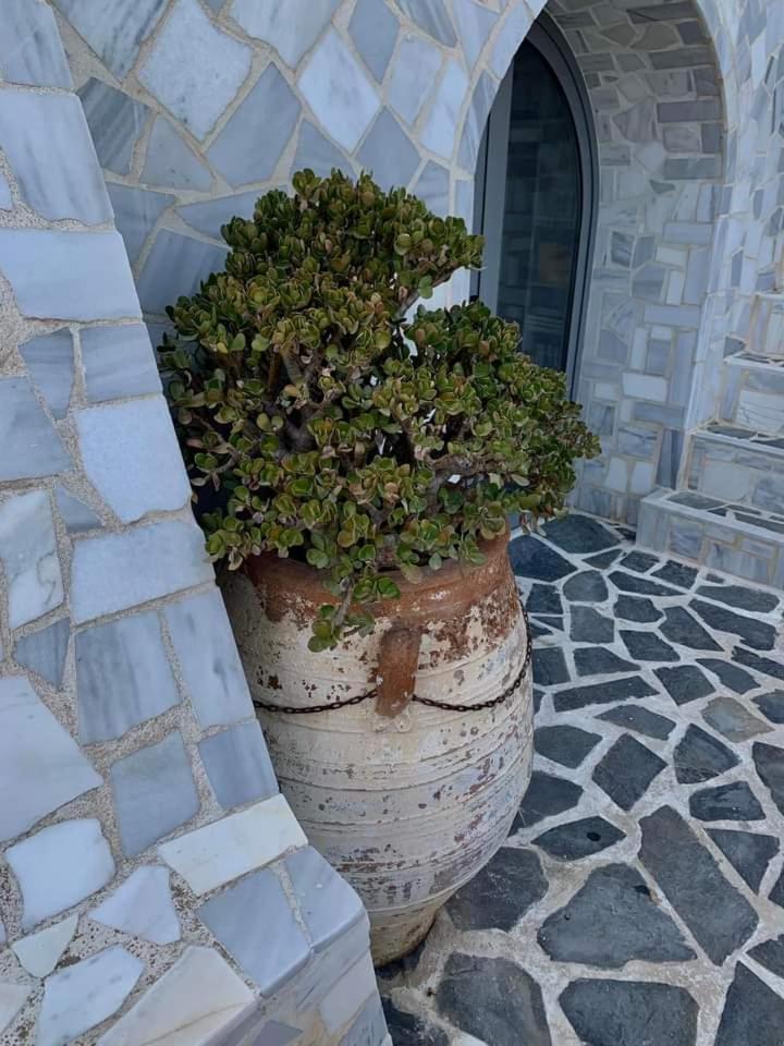 Apartmán Πέτρινο Στη Θάλασσα Nafpaktos Exteriér fotografie